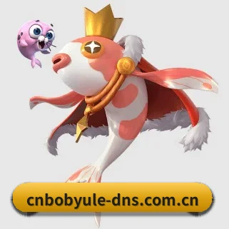 bob在线娱乐 APP